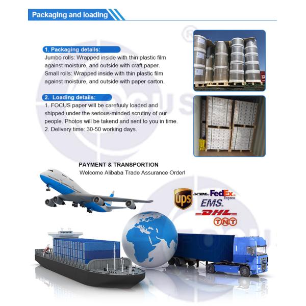 Focus Brand 100% Virgin Wood Pulp Thermal Paper Eco Top Coated