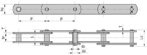 Three Types Standard Roller Chain FV Series Stainless Roller Chain