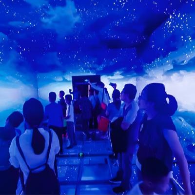 Cinéma immersif AR Expérience immersive en verre suspendu