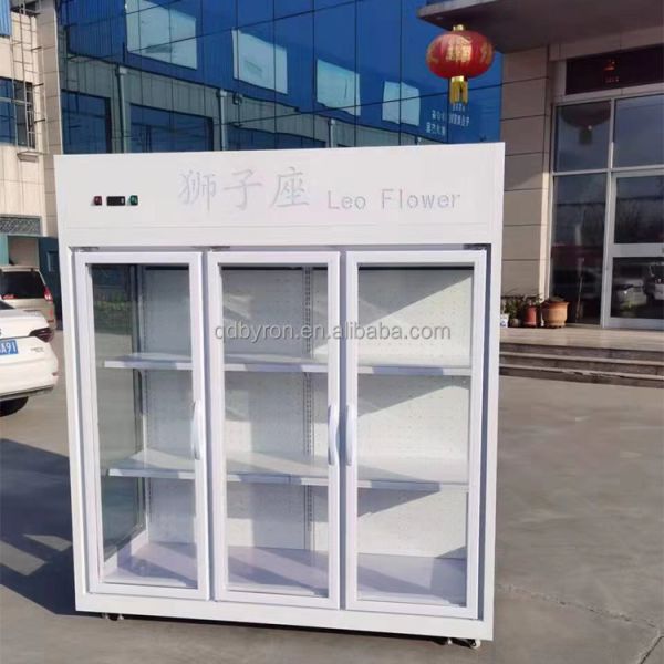 Merchandiser 2 Door Flower Cooler Single Temperature Floral Display Cooler