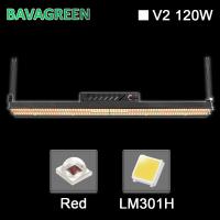 Tiras UV vermelhas hidropônicas da horticultura 200w IR Samsung Lm301h de SAA