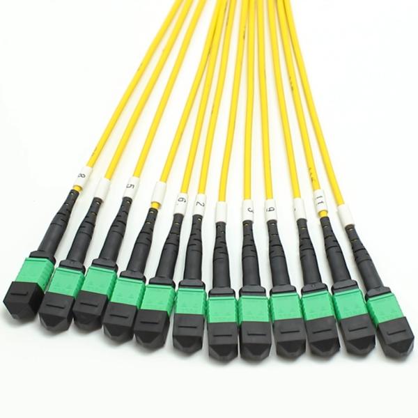 Low Loss MPO Fanout Cable Large Quantity Core 1M 144F SMG657A1 MPO APC to MPO APC Breakout Fiber Optic Patch Cord