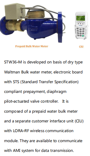 Smart Wireless Water Meter Providing Precise Consumption Tracking and Wireless Connectivity for Utility Companies