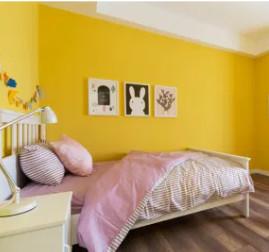 SGS Decorative Wall Coatings Paint Mildew Resistant Wall Smoothing Paint