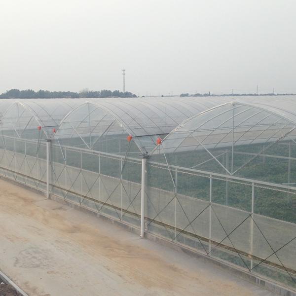 Multi Span Polytene Film Agricultural Greenhouse with Automatic Controlling System