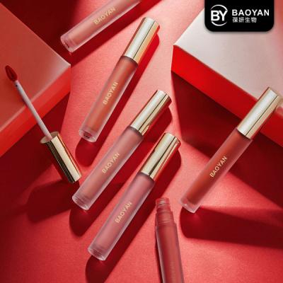 Unlabeled Multi Color Matte Lip Gloss Cosmetic Bulk Beauty Lip Care