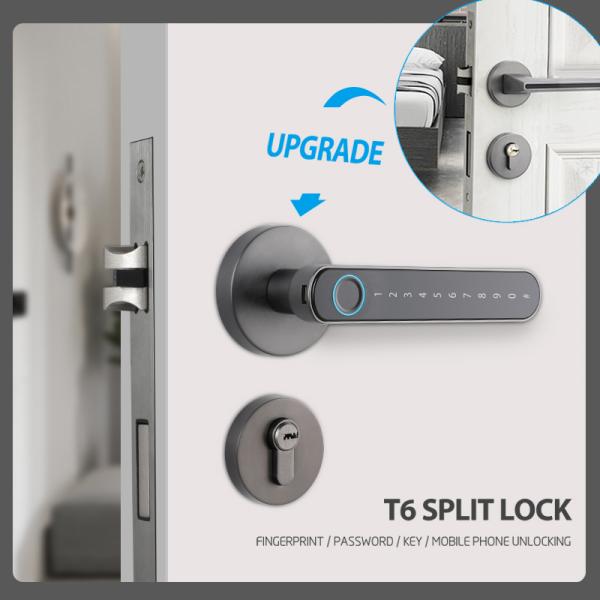 Black Gold Smart Lock Unlock Ble App Controlled Front Door Lock