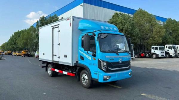 Pure Electric Mini Cargo Van Refrigerated Truck For Food Transportation