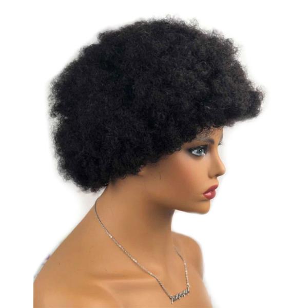 Raw Indian Human Hair Cuticle Aligned Pixie Cut Afro Curly Wigs GS Supplies 250g-450g