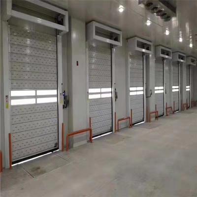 Customized TM-D04 Automatic Roll up Shutter Spiral Security Garage Door with Features