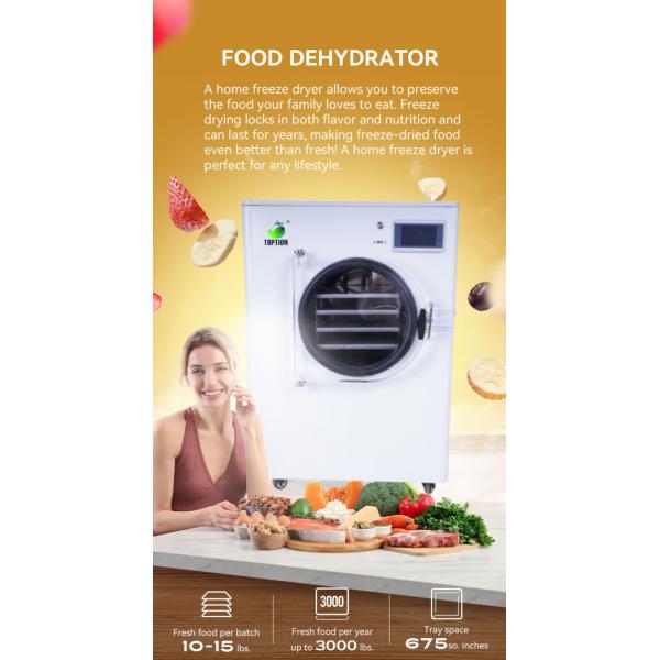 Advanced Freeze Dryer Machine Experience the Best in Fruit Preservation