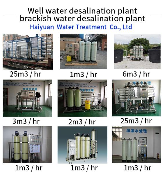 3000L/Hour Iron Manganese Water Filter 110V-460V 60HZ Carbon Steel Material