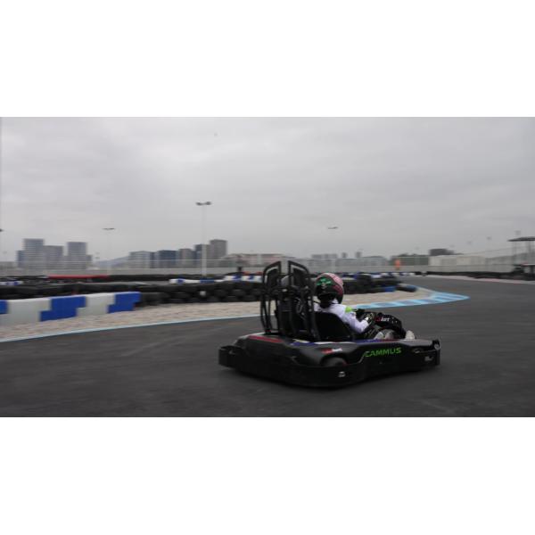 Быстрая обязанность электрическая идет Kart Pro с 4 колесами управляет скоростью мест взрослой быстрой