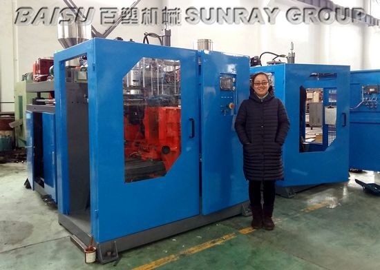 Pvc Water Tank Manufacturing Machine For Mini Jerry Can 350 X 390mm Max Mould Size SRB65-2