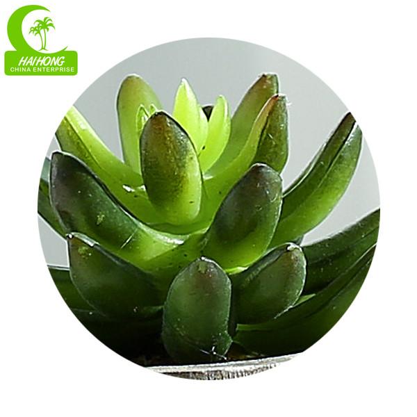 Planta suculento artificial real verde do toque 11.5cm para o Desktop