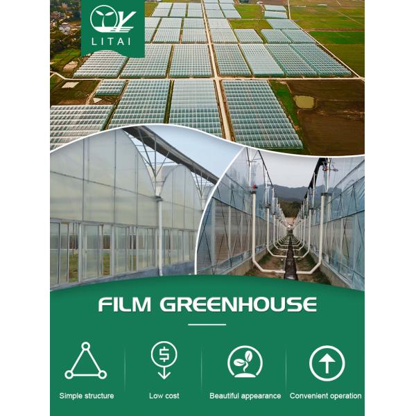 Многопролетная пленка сельскохозяйственная тепличная канавка высота 3-6 м Система автоматического управления