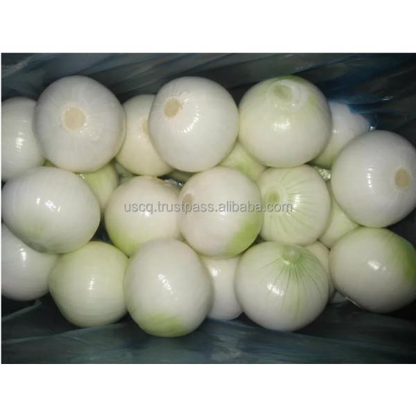 Lavadora de cáscara de cebolla de primavera Lavadora para quitar la piel de cebolla Pequeña máquina de cáscara de cebolla