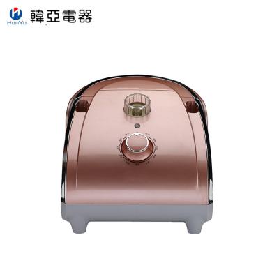 220 V Bottom Drain Plug Laundry Garment Steamer Flat Alumium With Hanger