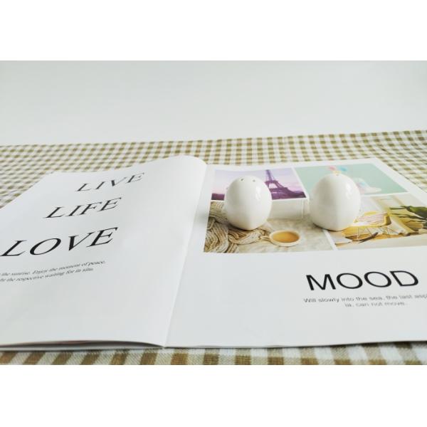 Ceramic Seasoning Shakers Salt Pepper Shaker Set By Cemaric