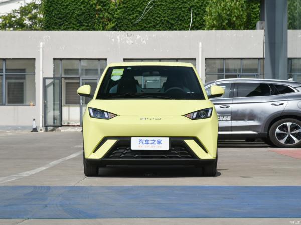Veículo elétrico EV Byd Seagull 2023 Vitality Versão com solicitação personalizada
