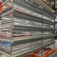 Gaiola automática para ovo de codorna para gaiola de 6 níveis com capacidade para 200.000 codornas por fazenda