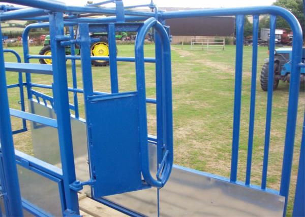 UK Standard complied Cattle Crush