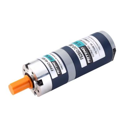 3000rpm 60w Planetary Gearbox Motor 24v DC Totally Enclosed