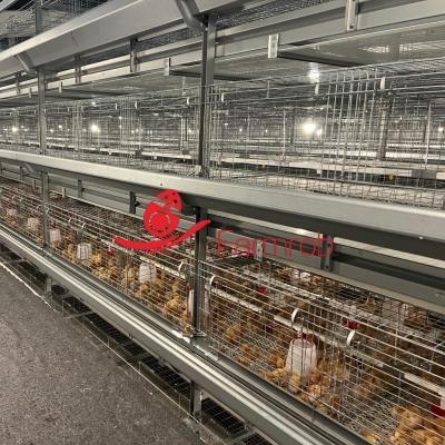 327 Cm2 Safe 6-Tier Al-Zn-Mg Poultry Cage System For Small Chicks 1800x600x450mm Dimensions