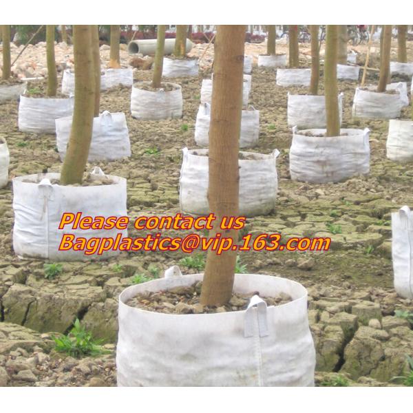Сумки сада плантаторов Биодеградабле, завод сумок завода цветка растут баки питомника поли
