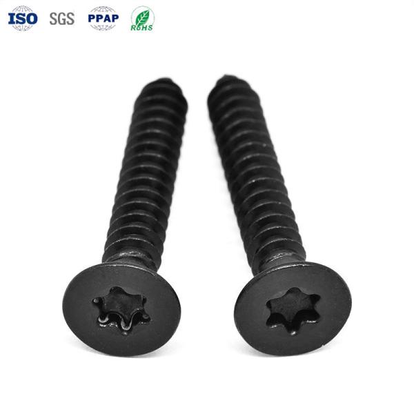 Tornos y tornillos personalizados con revestimiento negro Dimensión por muestra OEM ODM paquete Peso bruto 10.000kg