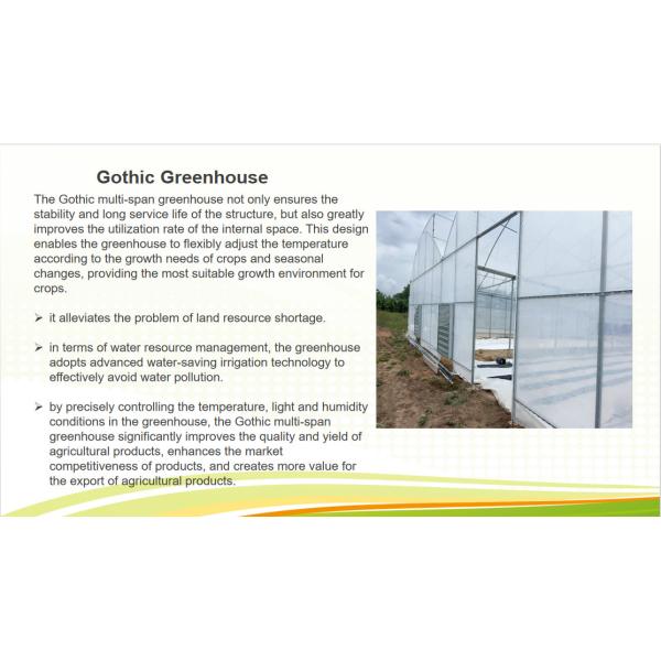 Double Po Film Gothic High Tunnel Greenhouse High Strength Anticorrosive