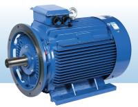 Motor ahorro de energía interno IP54 IP68 4 postes tamaño pequeño de la CA del imán permanente