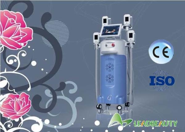the most effective cryo slimming machine  paypal accepted Hot sale salon and clinic use best quality