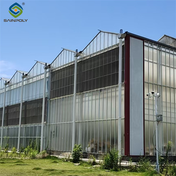 Agricultural Glass Greenhouse Continuous Skeleton PC Board Greenhouse For Vegetables
