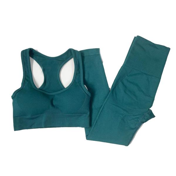 Wholesale Custom Seamless High Waist Yoga Leggings Sports Bras 2 Pieces Fitness Gym Sets Yoga Wear for Women