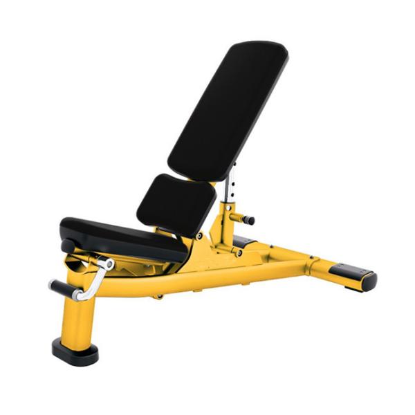Freeman Commercial Gym Fitness Equipment Adjustable Modern Steel Sit-Up Bench Foldable Bodybuilding Bench