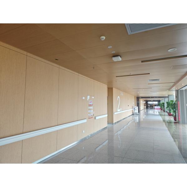 Огнестойкость PVDF ACP Листы для кухни Backsplash 0,25 мм Алюминиевый слой 4ft * 8ft Размер