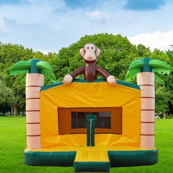 PVC Castle Bouncer Inflatable Bounce House Slide Combo Luxury with Custom Logo Printed