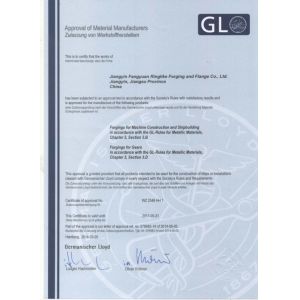 Jiangyin Fangyuan Ringlike Forging And Flange Co., Ltd. Certifications