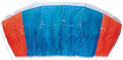 120*55cm Dual Line Parafoil Kite , Rainbow Parafoil Kite Oem / Odm Acceptable