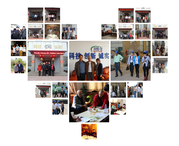 Incinerador de resíduos domésticos ecológicos de alta capacidade com inspecção de saída por vídeo