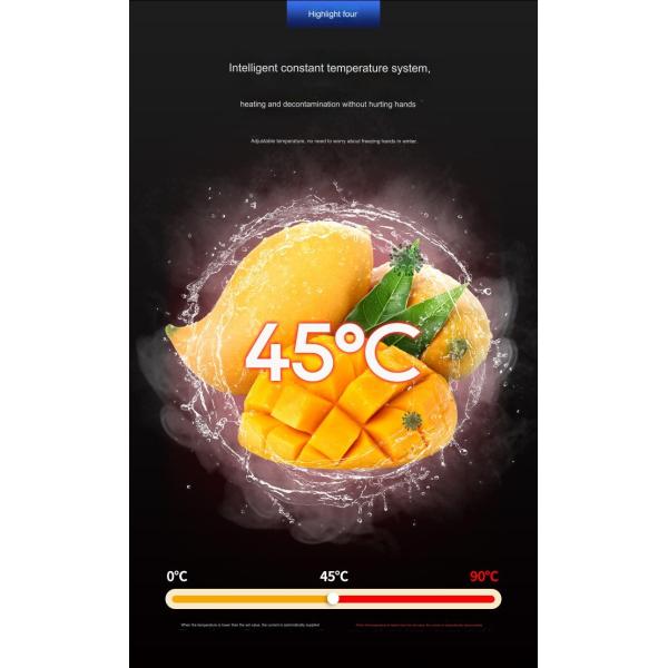 220v/380v Multifunctional Cleaning Ionized Ozone Decomposition Vegetable Washing Machine