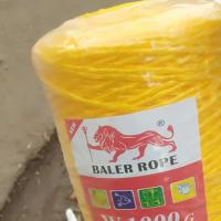 Guita de prensa amarela 1000g da cor 2mm Pp 2000g para a embalagem da agricultura