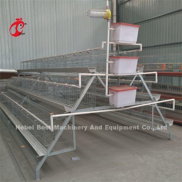 Poultry Farming Cage System A Type 3 4 Tiers Egg Layer Cage Chicken Emily