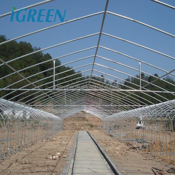 Large IGreen Agricultural Greenhouses Materials Shade Cloth Greenhouse with No Roof Vent