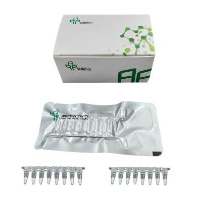 Kit de Amplificação de DNA Multiplex Processamento de Um Passo