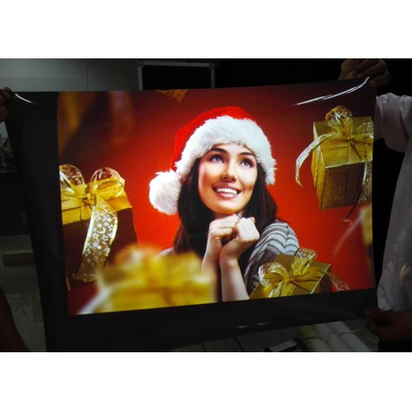 Серый лазер TV и задняя проекция снимает/фольга для дисплея, рекламы, выставки