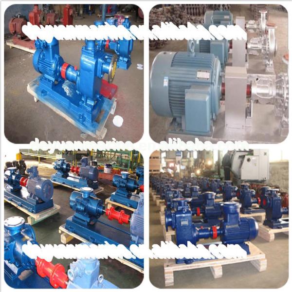 Vertical Marine Water Pump Double - Suction Centrifugal Mini High Lift