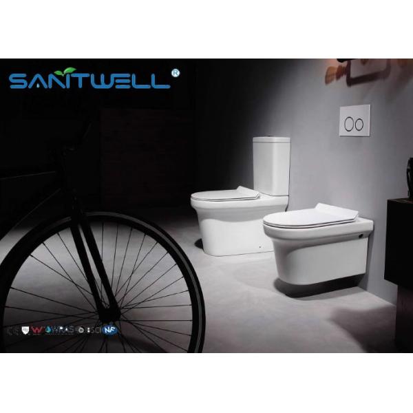 La pared de cerámica popular de Tenne colgó el retrete y las mercancías sanitarias SWF425