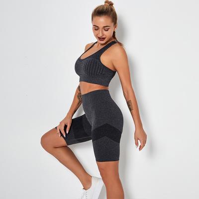 O sutiã e o short sem emenda da ioga ajustaram o grupo curto da ioga sexy de nylon macia da malha de 2 partes